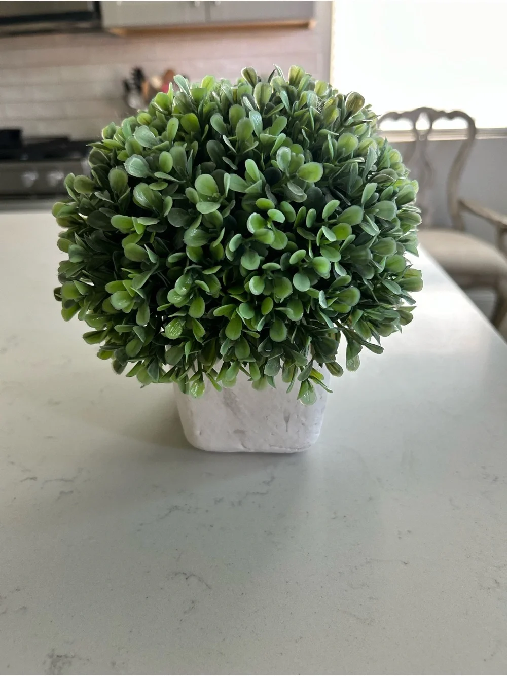 Faux boxwood plant in heavy planter